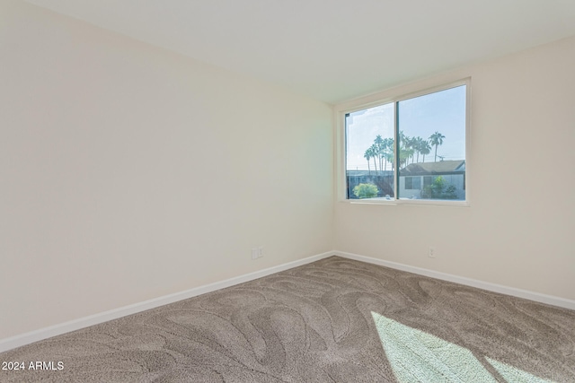 spare room with carpet floors