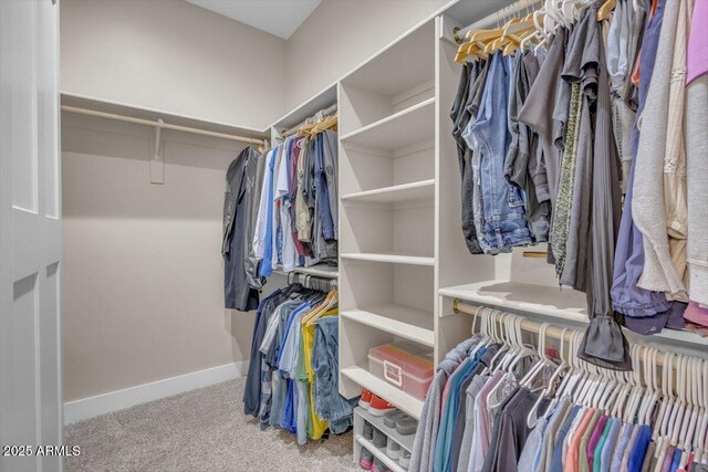 28319 N Marchant Trce, Queen Creek, AZ 85144 - spacious closet featuring carpet