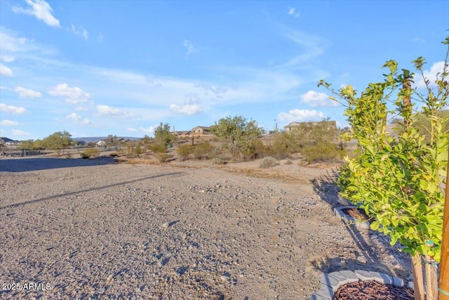 28319 N Marchant Trce, Queen Creek, AZ 85144 - view of yard