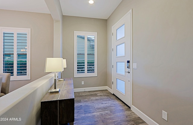 entryway with dark hardwood / wood-style floors