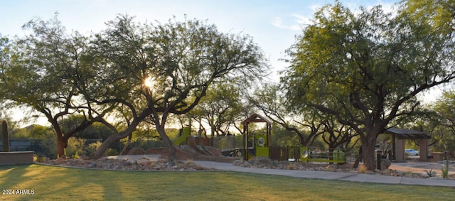 view of yard with a playground