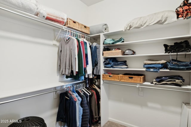 4936 E Villa Rita Dr, Scottsdale, AZ 85254 - spacious closet featuring carpet and radiator