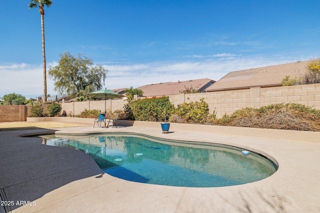 4936 E Villa Rita Dr, Scottsdale, AZ 85254 - view of pool featuring a fenced in pool, a patio area, and a fenced backyard