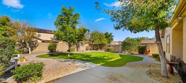 view of yard with a patio area