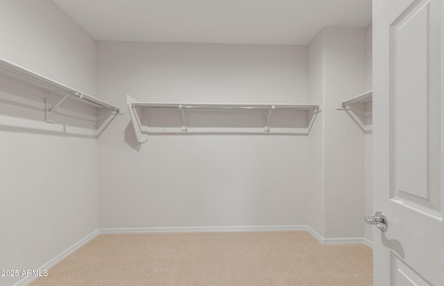 walk in closet featuring light colored carpet