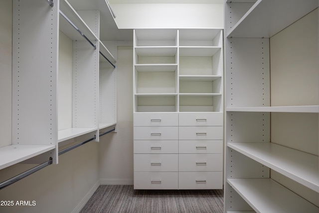 5552 N Kerwood Loop, Prescott Valley, AZ 86314 - walk in closet with dark carpet