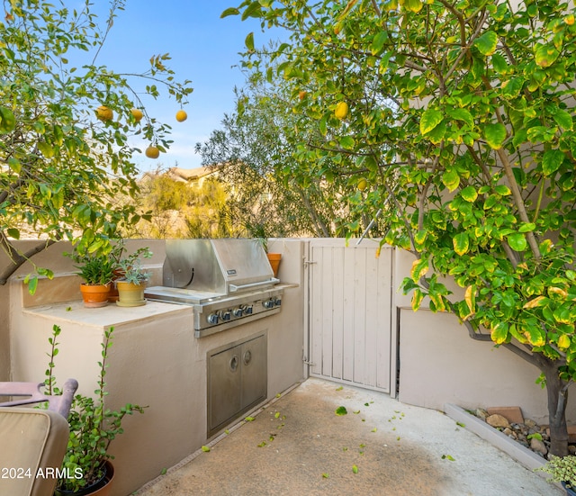 view of terrace with exterior kitchen and a grill