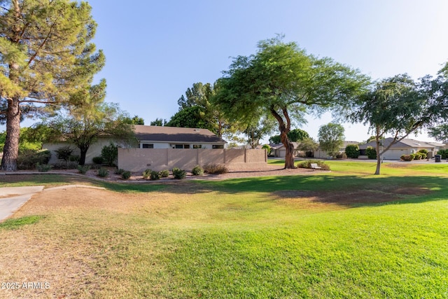 4725 E Brown Rd Unit 79, Mesa, AZ 85205 - view of yard