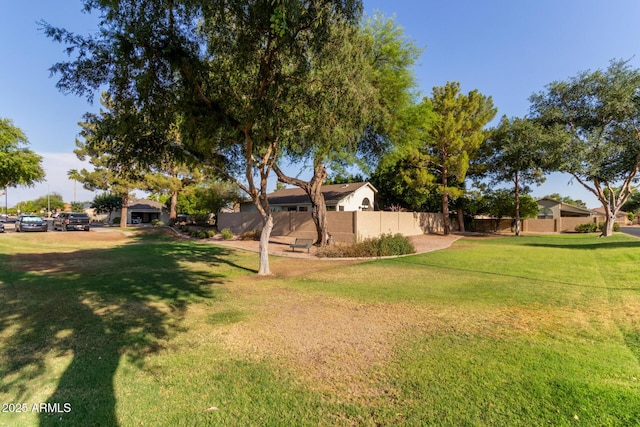 4725 E Brown Rd Unit 79, Mesa, AZ 85205 - view of yard