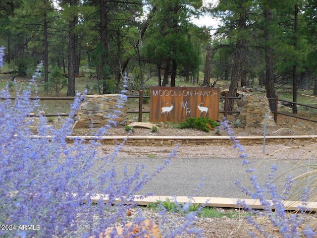 4131 Sunset Ridge Loop Unit 176, Happy Jack, AZ 86024