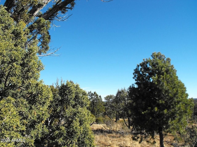 4131 Sunset Ridge Loop Unit 176, Happy Jack, AZ 86024