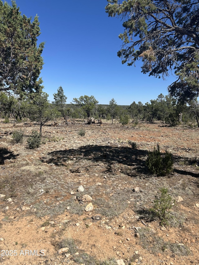 4131 Sunset Ridge Loop Unit 176, Happy Jack, AZ 86024