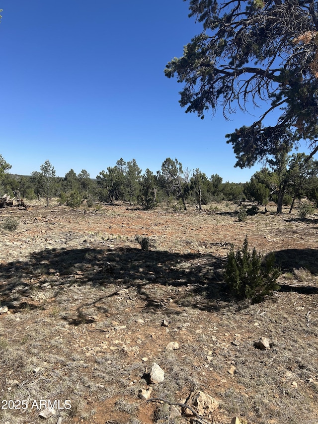 4131 Sunset Ridge Loop Unit 176, Happy Jack, AZ 86024