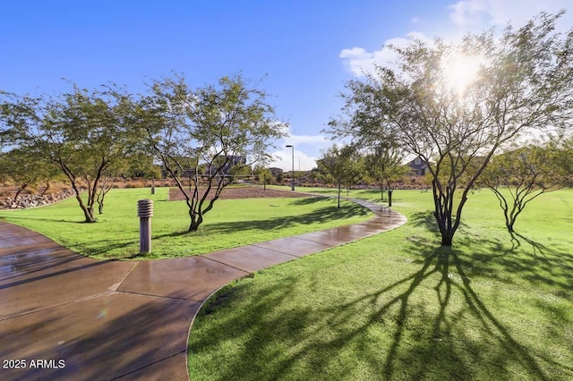 view of home's community featuring a yard