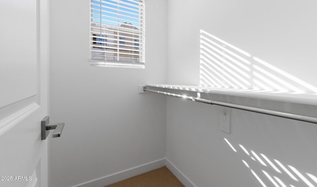 spacious closet featuring carpet flooring