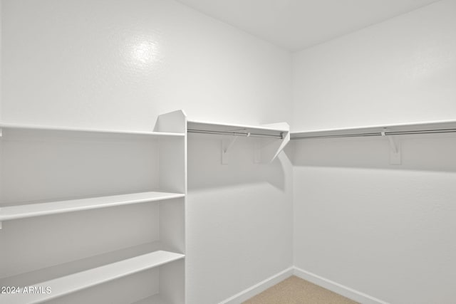 walk in closet with carpet