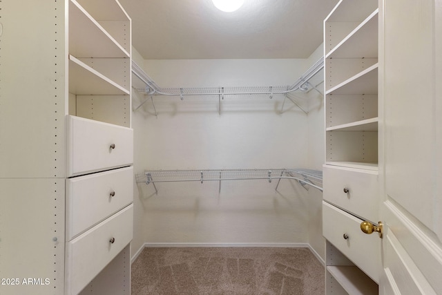1669 E Santa Fiore St, San Tan Valley, AZ 85140 - spacious closet with carpet floors