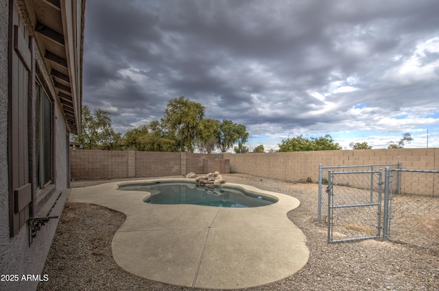 view of pool with a patio