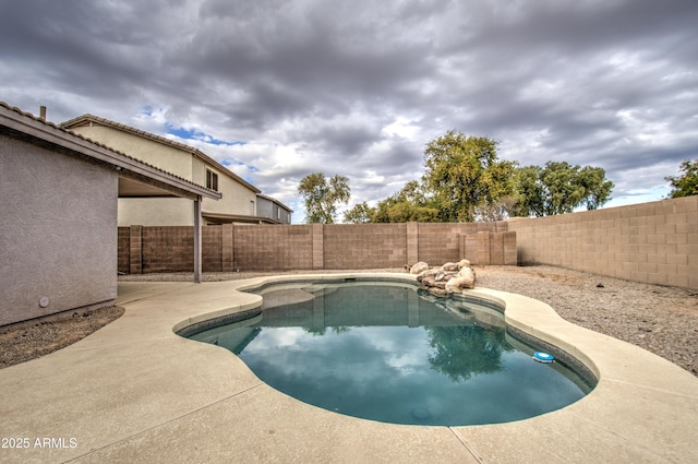 view of swimming pool with a patio area