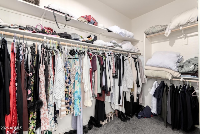 2425 W Bronco Butte Trl Unit 2028, Phoenix, AZ 85085 - spacious closet featuring carpet