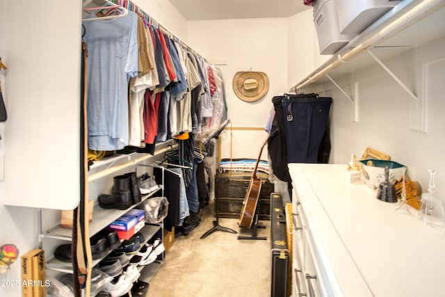 spacious closet with light carpet