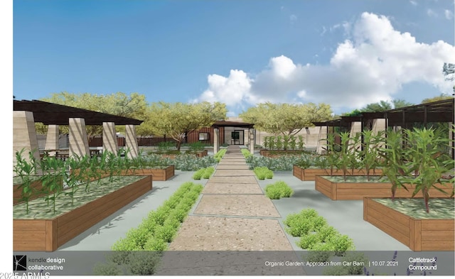 view of yard with a garden