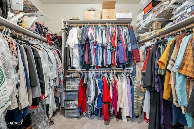 spacious closet with carpet