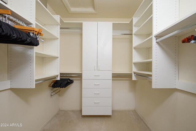 walk in closet with light carpet