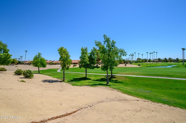 view of home's community with a yard