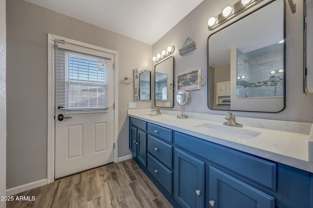 bathroom with hardwood / wood-style flooring and vanity