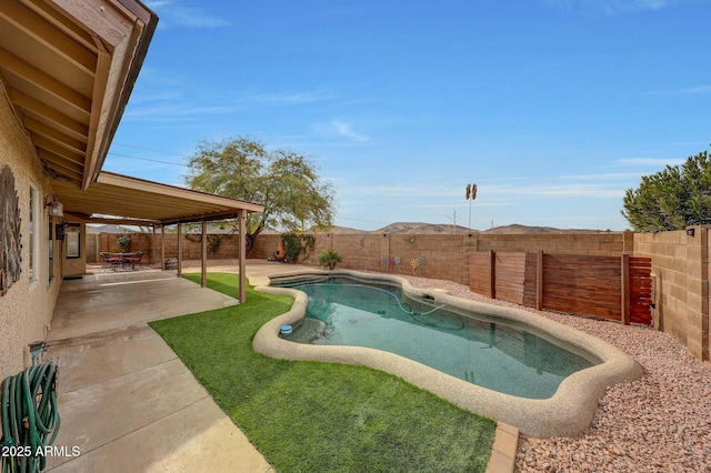 view of swimming pool with a patio area