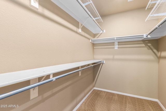 walk in closet featuring carpet flooring