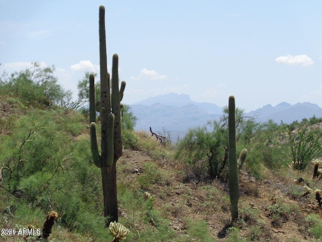 view of mountain feature