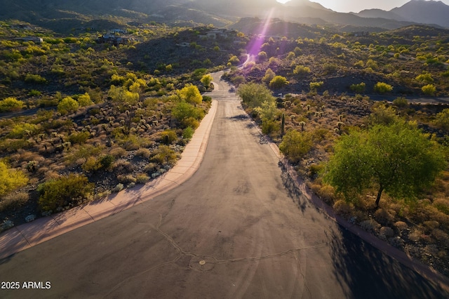 drone / aerial view featuring a mountain view