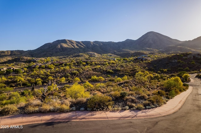 view of mountain feature