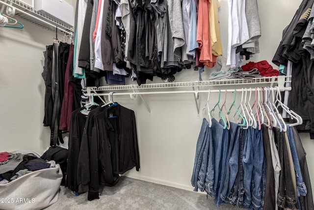 walk in closet featuring carpet floors