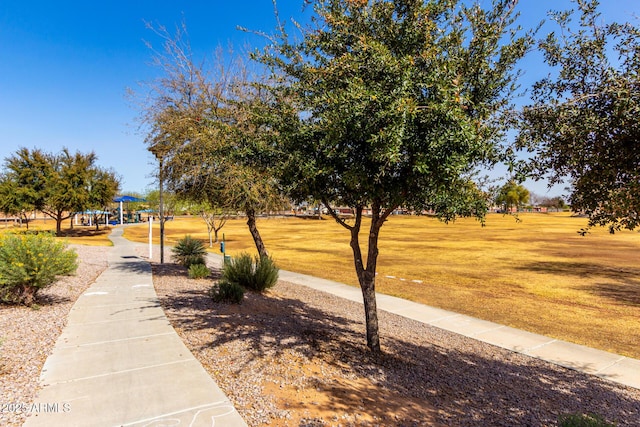 view of community with a lawn