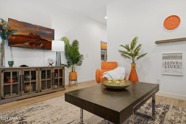 living area featuring wood-type flooring