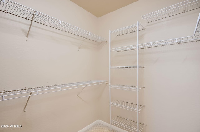 view of walk in closet