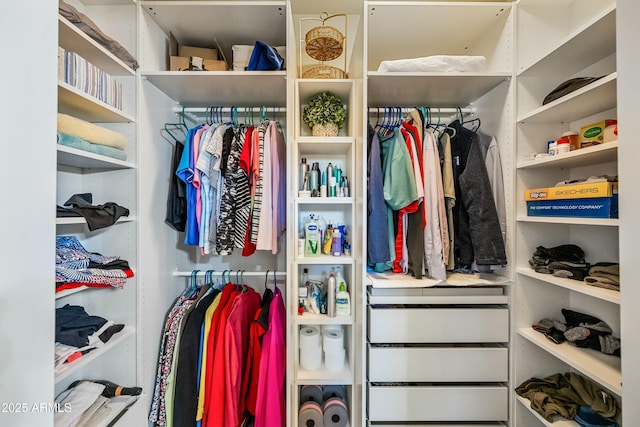 view of closet