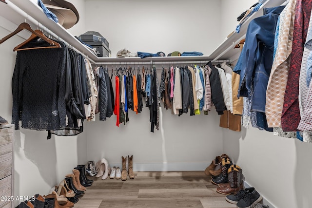 spacious closet featuring hardwood / wood-style floors