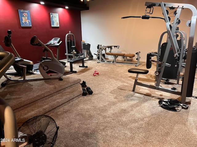 exercise room with carpet