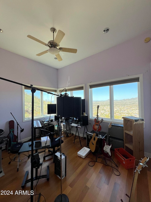 home office with ceiling fan, a healthy amount of sunlight, and hardwood / wood-style flooring