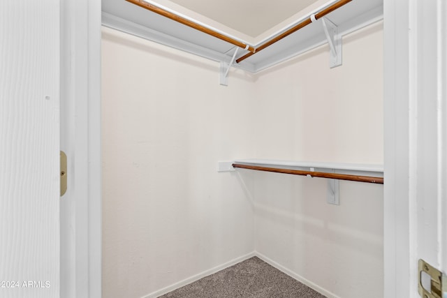 walk in closet featuring carpet flooring