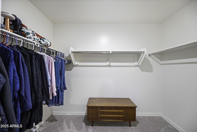 walk in closet featuring carpet floors