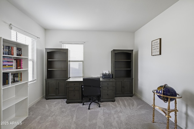 home office with light colored carpet