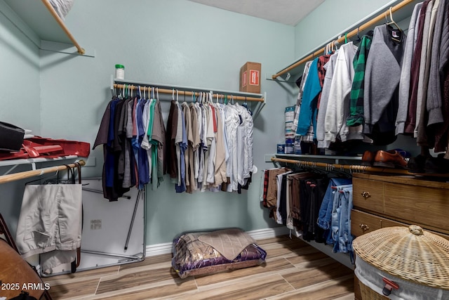 view of walk in closet