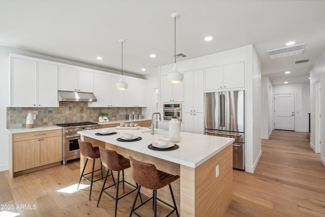 5537 E Earll Dr, Phoenix, AZ 85018 - kitchen with premium appliances, under cabinet range hood, light wood-style flooring, a kitchen breakfast bar, and decorative backsplash