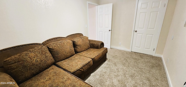 living room featuring carpet floors