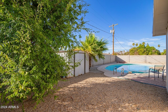 view of swimming pool with a patio